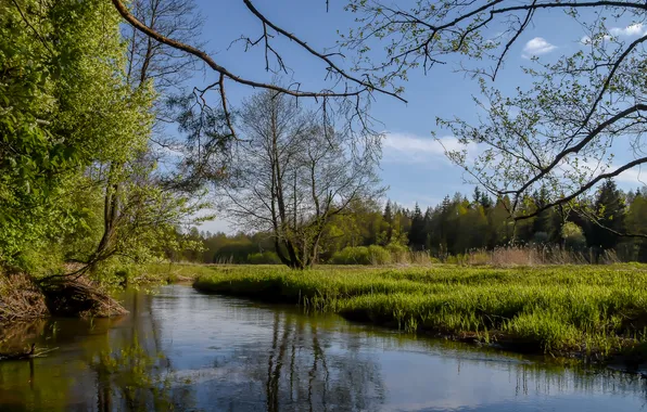 The sky, clouds, landscape, nature, spring, river
