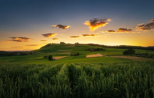 The sky, meadow, house