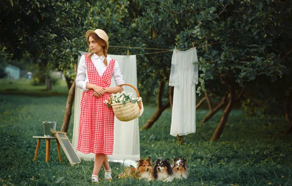 Dogs, girl, basket, things, hat, dress, Kseniya Kokoreva, Anastasia Dobrovolskaya