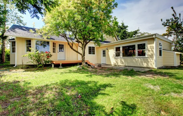 Greens, grass, trees, design, home, mansion