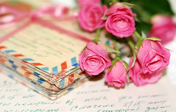 Flowers, nostalgia, Post