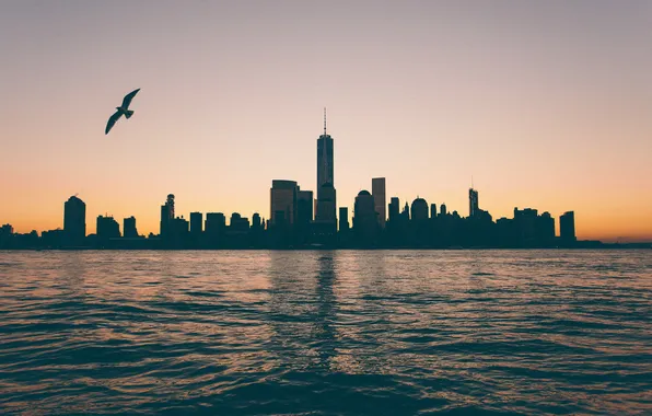 Picture reflection, New York, Seagull, mirror, twilight, Manhattan, One World Trade Center, United States
