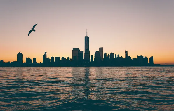 Reflection, New York, Seagull, mirror, twilight, Manhattan, One World Trade Center, United States