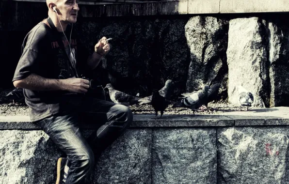 Birds, Stone, pigeons, Photographer
