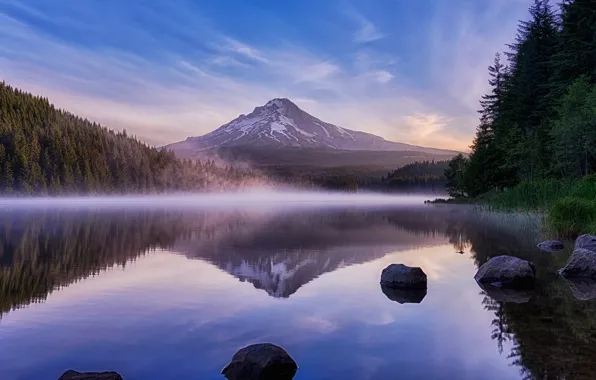 Reflection, Lake, Mountain, Forest, Stones, Spruce forest, Tomanec
