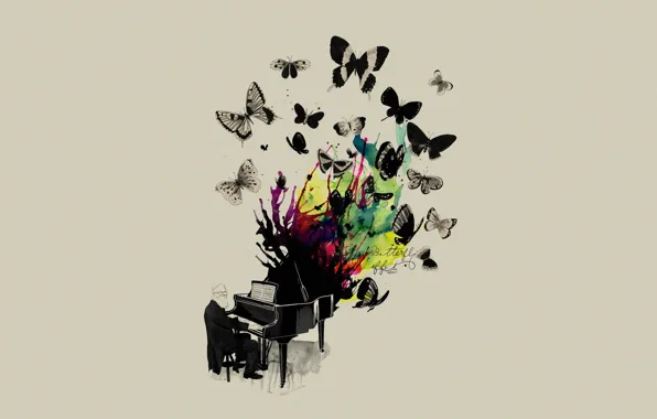 Music, Butterfly, Music, Musician, Piano, Mathiole, Matheus Lopes Castro, Plan