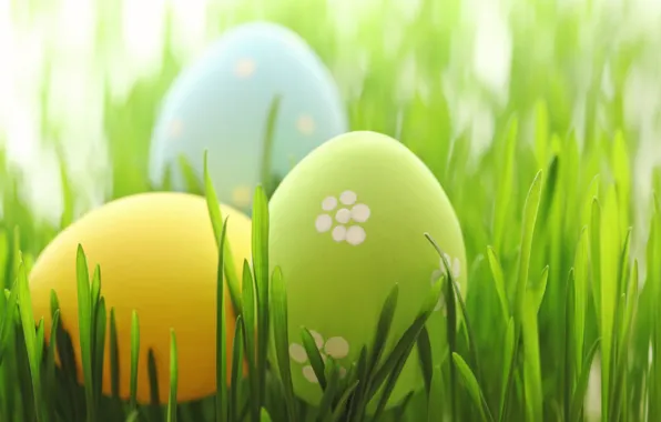 Picture grass, Easter, spring, Easter, eggs, Happy, pastel, the painted eggs