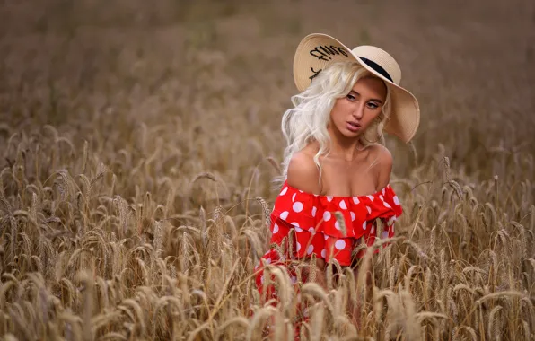 Picture field, sexy, hat, spikelets, blonde, Margo, Dmitry Medved