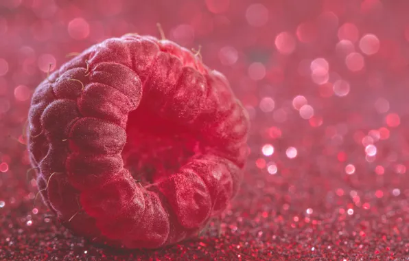 Picture macro, berries, Sparkling raspberry