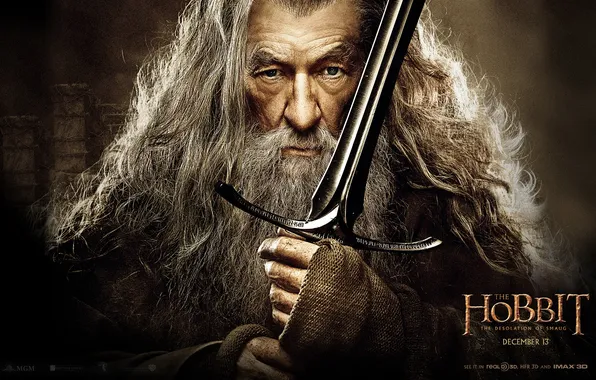 Picture sword, Gandalf, The Hobbit, Wizard, The desolation of Smaug