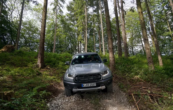 Picture forest, grey, the descent, Ford, Raptor, pickup, Ranger, 2019