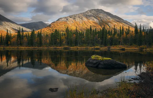 Forest, clouds, light, mountains, lake, reflection, shore, stone