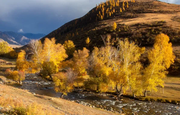 Picture autumn, trees, landscape, mountains, nature, river, hill, Yuri Stolypin