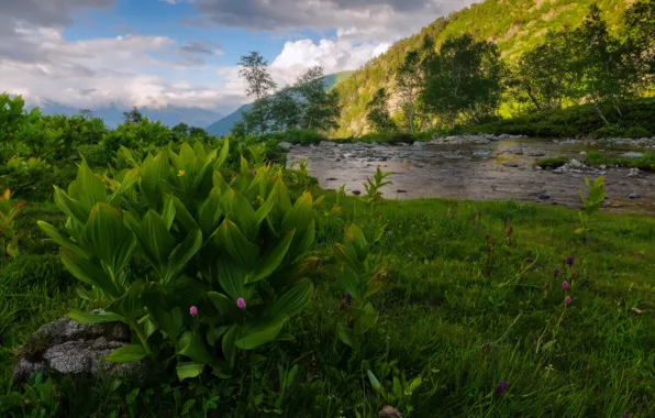 Summer, the sky, clouds, trees, landscape, mountains, nature, river