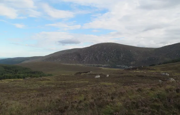 The sky, grass, stones, hills, Heath, Ireland, Heather, Heather