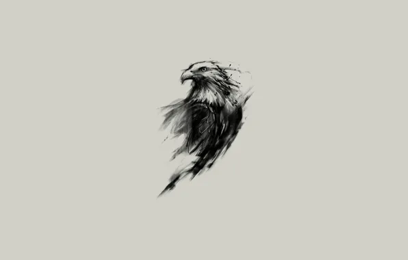 Picture look, eagle, figure, wings, minimalism, feathers, beak, art