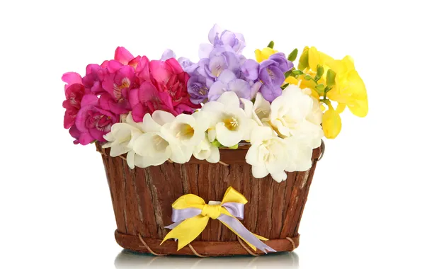 Picture flowers, basket, bouquet, bow, flowers, basket