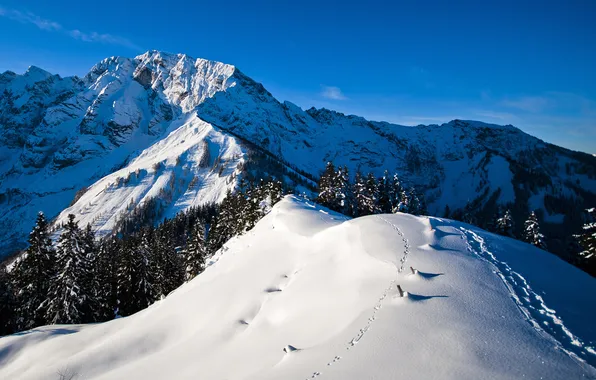 The sky, snow, mountains, traces