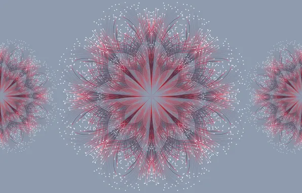 Flower, grey, pink, pistils