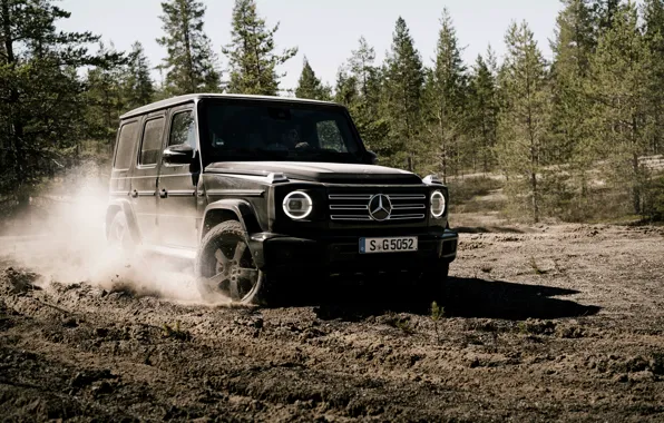 Forest, earth, black, Mercedes-Benz, SUV, 4x4, 2018, G-Class