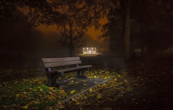 Autumn, night, the city, street, bench