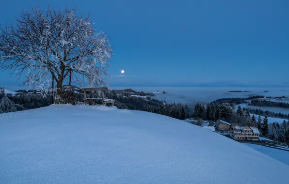 Picture winter, mountains, night, nature, fog, bench