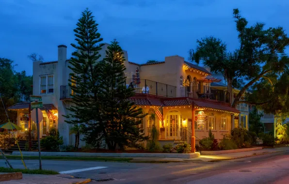 Road, trees, lights, street, home, the evening, FL, USA