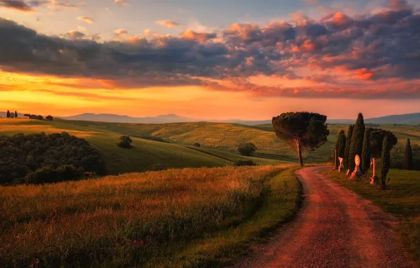 Road, the sky, clouds, light, field, the evening, morning, Italy