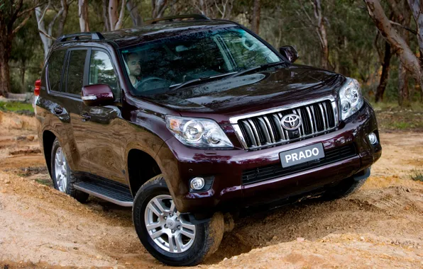 Auto, Japan, Australia, Wallpaper, Jeep, Japan, Toyota, Car