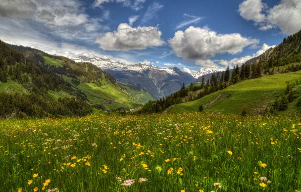Flowers, mountains, spring, Switzerland, valley, Alps, meadow, Switzerland
