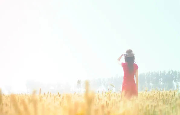 Picture field, summer, girl, the sun, nature
