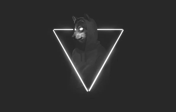 Minimalism, Style, Background, Wolf, Face, Triangle, Predator, Art