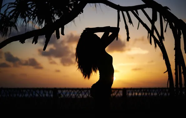 Picture ass, chest, the sky, girl, clouds, sunset, hair, shadow