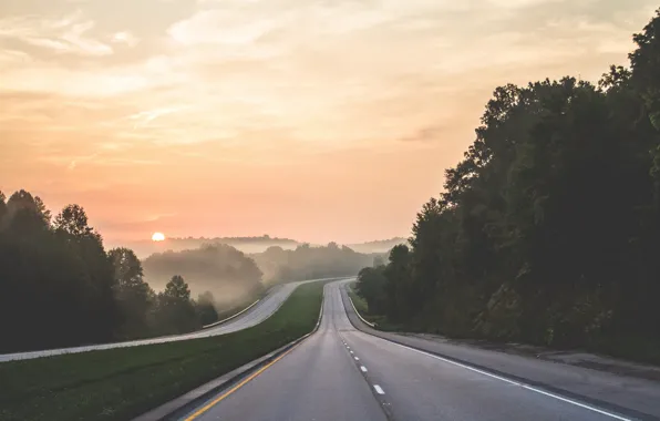 Road, summer, the sky, the sun, trees, fog