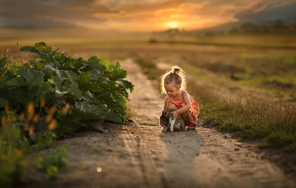 Sunset, photo, rabbit, girl, Dranikowski