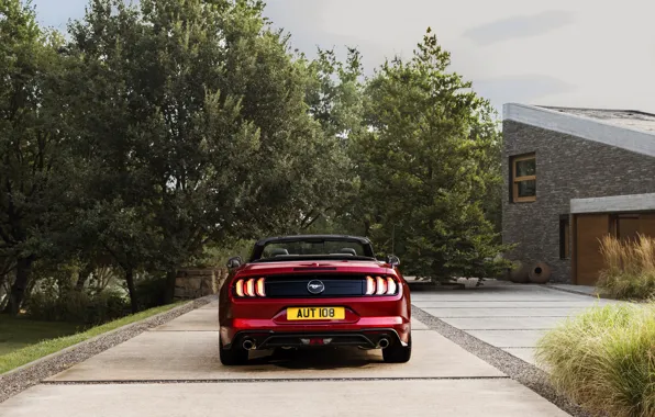 Ford, convertible, 2018, feed, dark red, Mustang Convertible