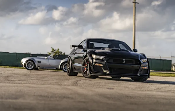 Mustang, Ford, Shelby, GT500, Cobra, Silver, Duet