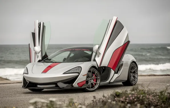 Picture McLaren, Tuning, Vorsteiner, Silver, 2016, 570-VX