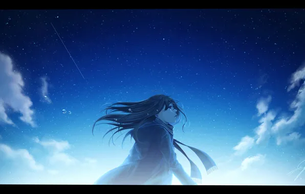 The sky, girl, tears, shooting star, Nengoro