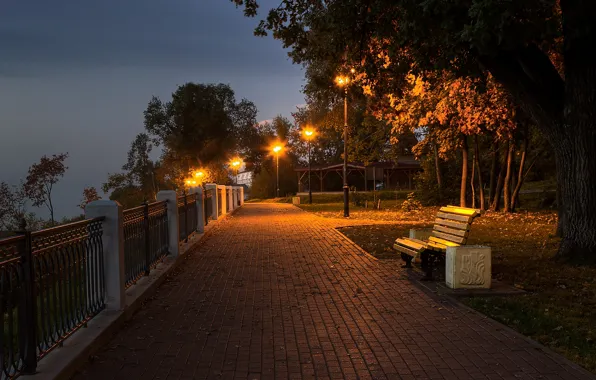 The city, Night, lights, alley, Kirov, fence.