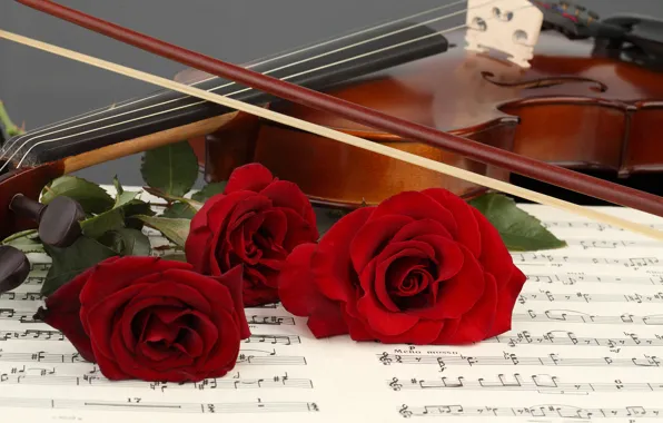 Picture flowers, red, notes, violin, roses, bow, bokeh