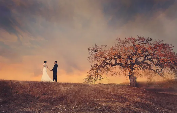 Picture field, the sky, tree, pair, the bride, the groom, wedding dress
