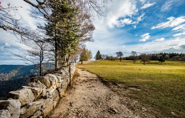 Picture field, forest, the sky, grass, clouds, trees, mountains, stones