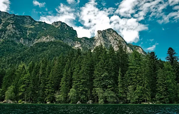 Forest, clouds, trees, mountains, lake, stones, Washington, USA