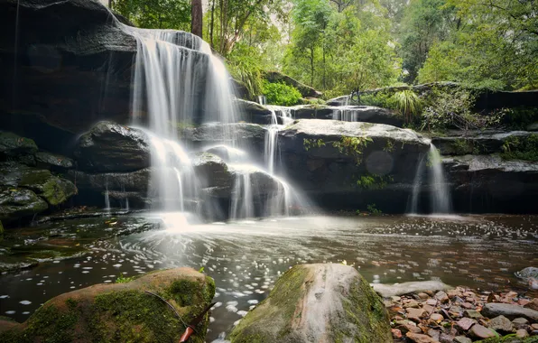 Forest, stones, rocks, waterfall, cascade