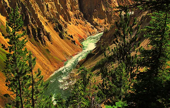 Trees, mountains, river, rocks, gorge, USA, Yellowstone National Park