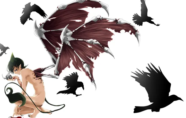 Picture blood, skull, wings, anime, the demon, tail, horns, guy