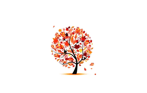 Picture autumn, leaves, birds, tree, brightness