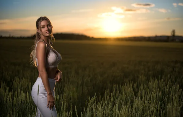 Picture field, chest, girl, sunset, nature, pose, jeans