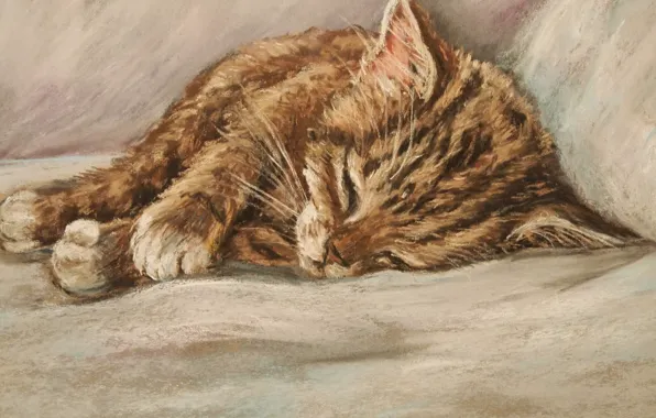 Picture cat, sleeping kitten, ginger kitten, D.Burgus